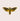 Nature animal sticker featuring death's head hawkmoth insect