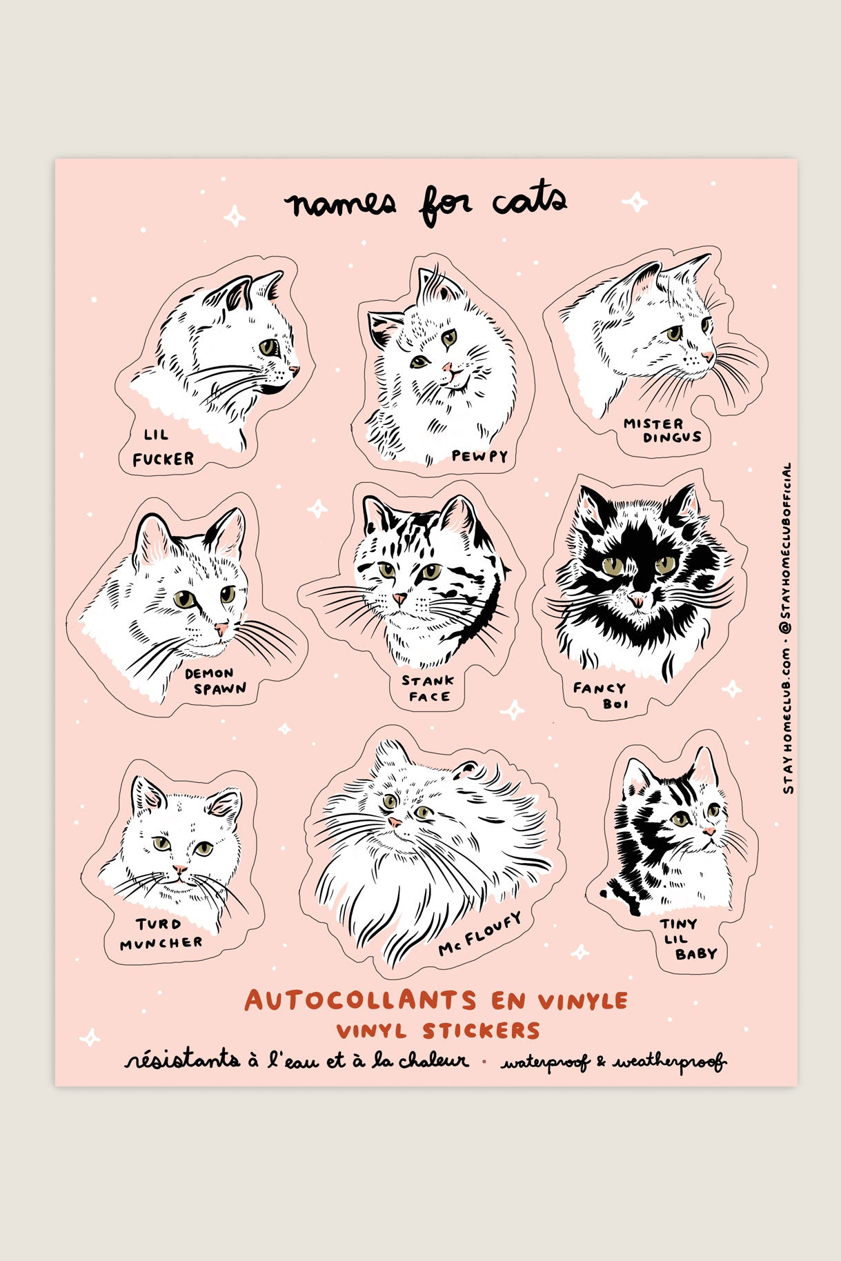 Names for Cats Mega Sticker Sheet – Stay Home Club