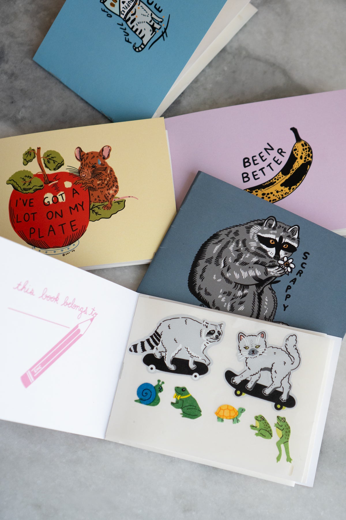 Livre d'Autocollants 'SHC Scrappybook'