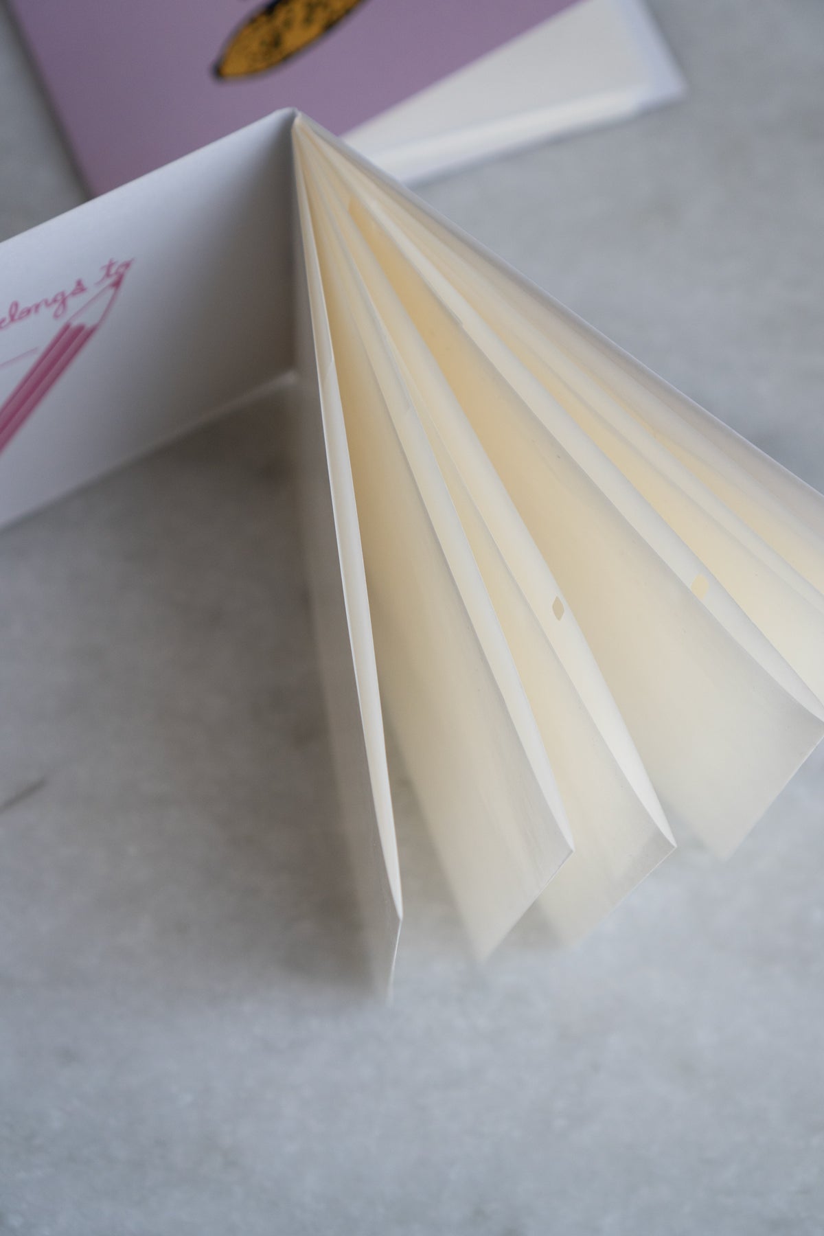 Livre d'Autocollants 'SHC Scrappybook'