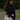 Woman wearing a black long-sleeved t-shirt with swans printed down the sleeves