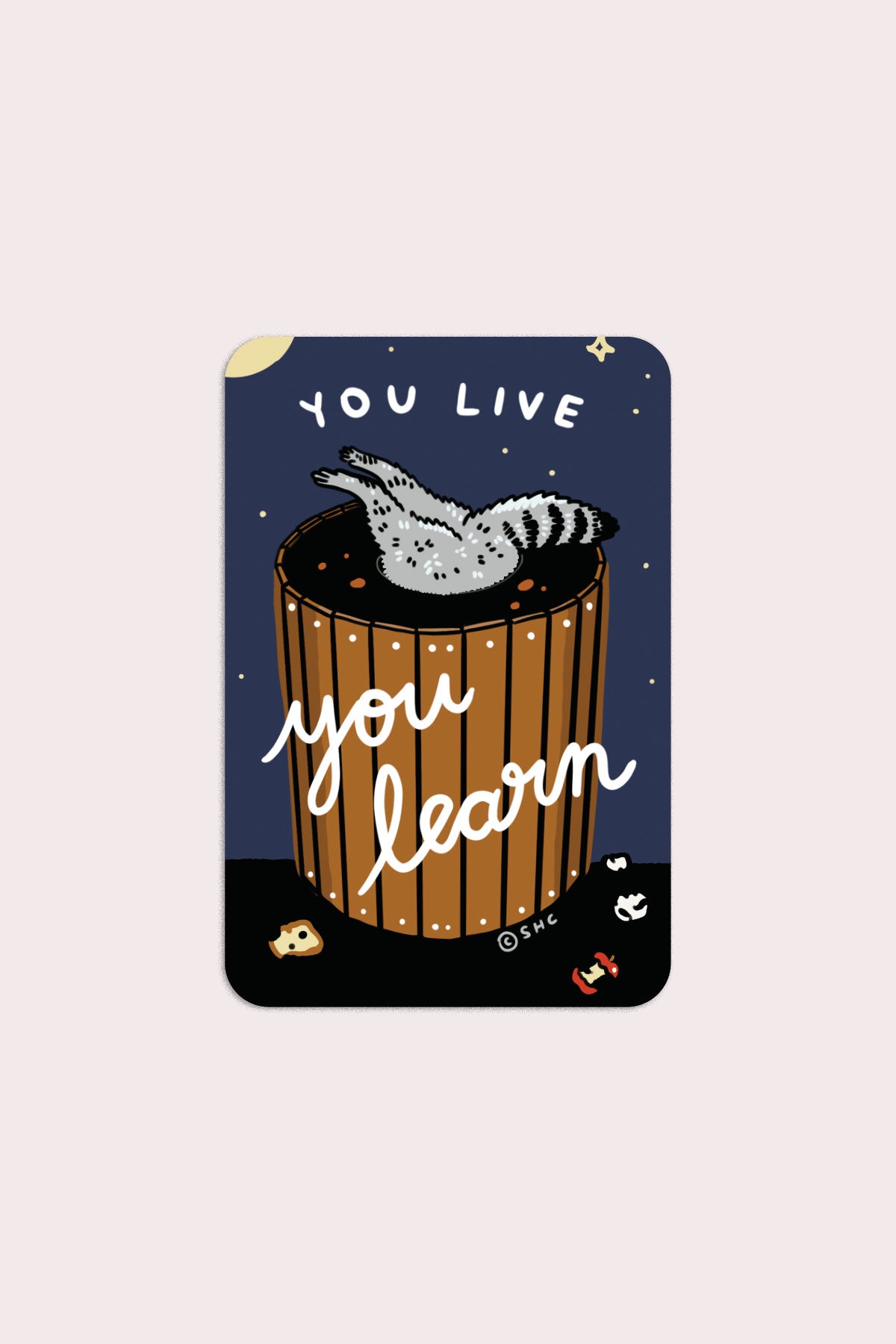 Autocollant "You Live You Learn"