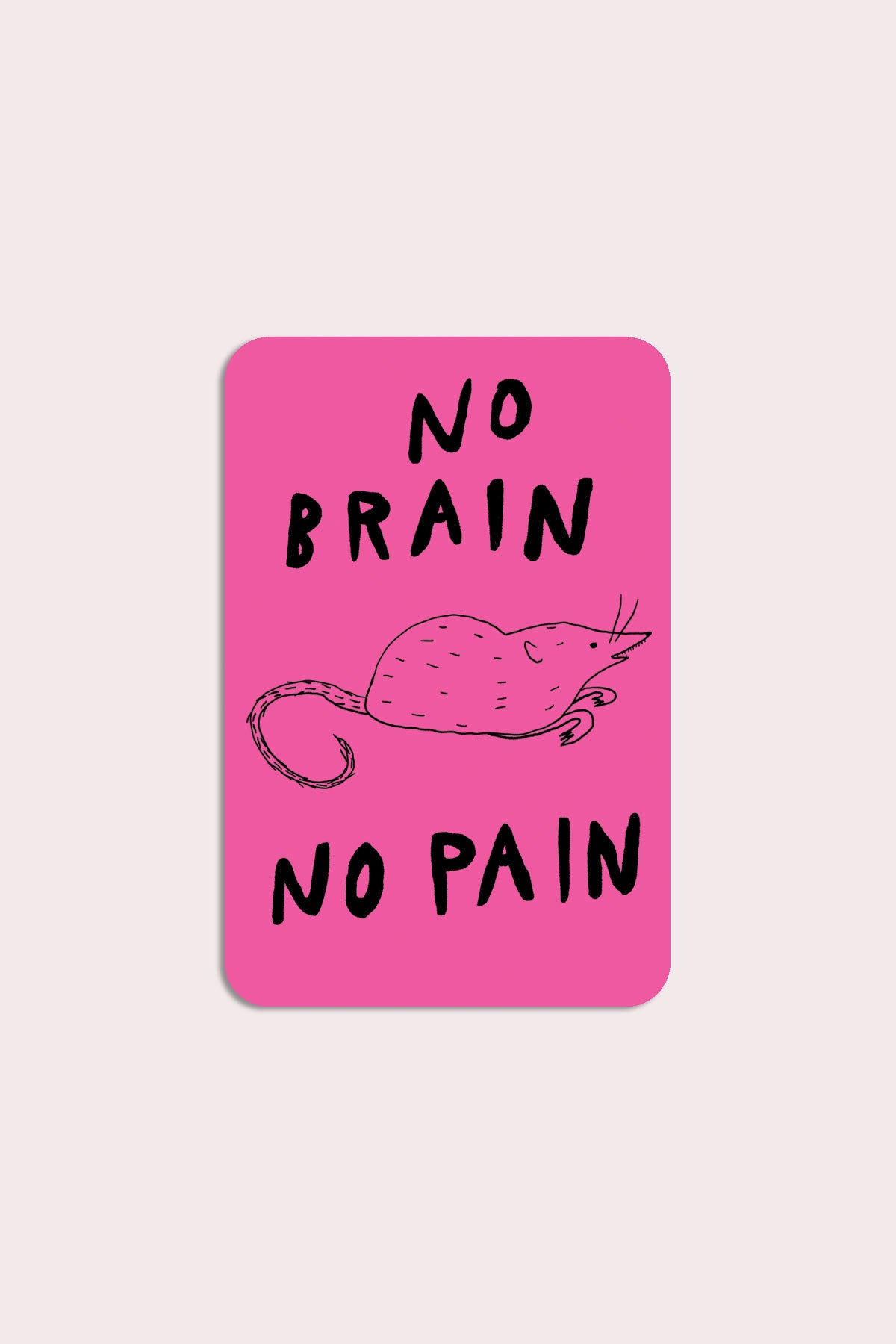 Autocollant 'No Brain No Pain'