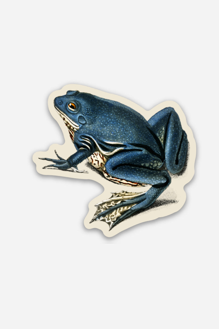 Petit Autocollant 'Exasperated Frog'