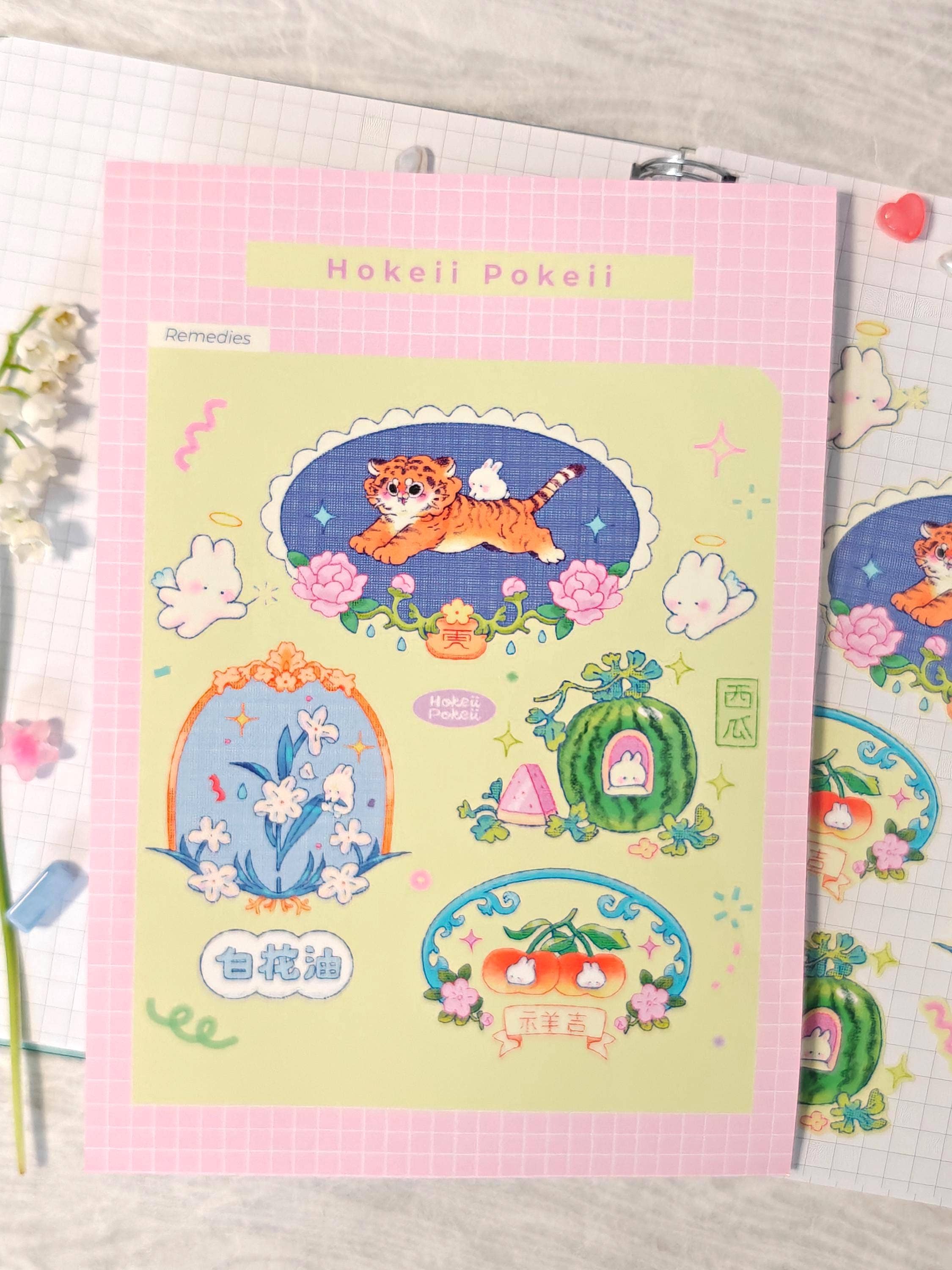 Feuille D'Autocollants Transparent 'Chinese Remedies'