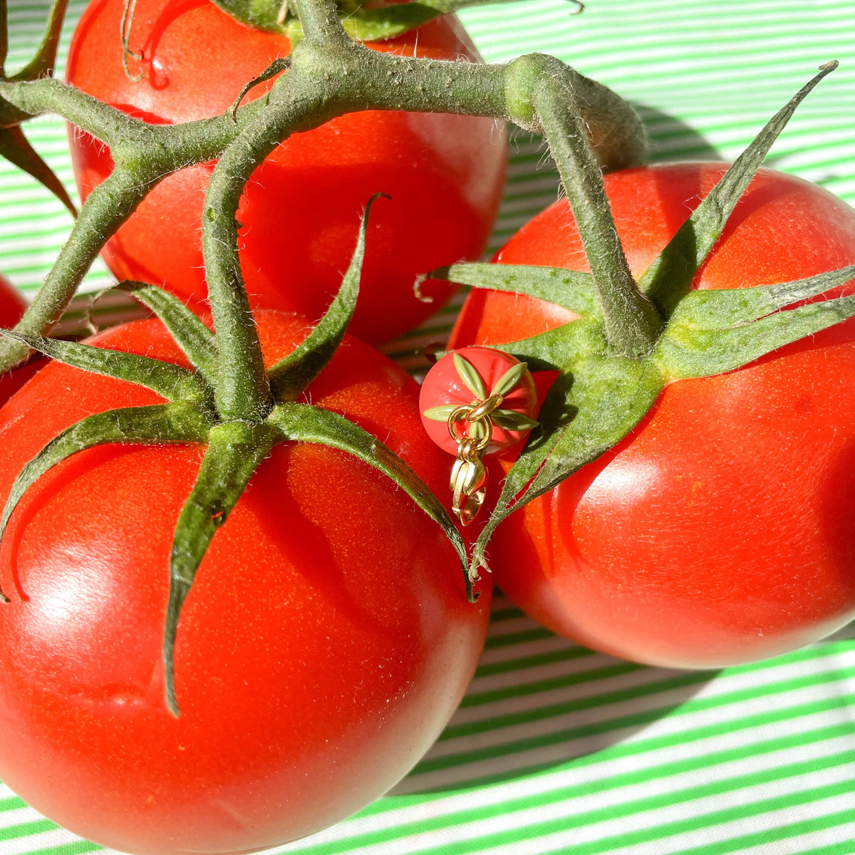 Tiny Tomato Charm
