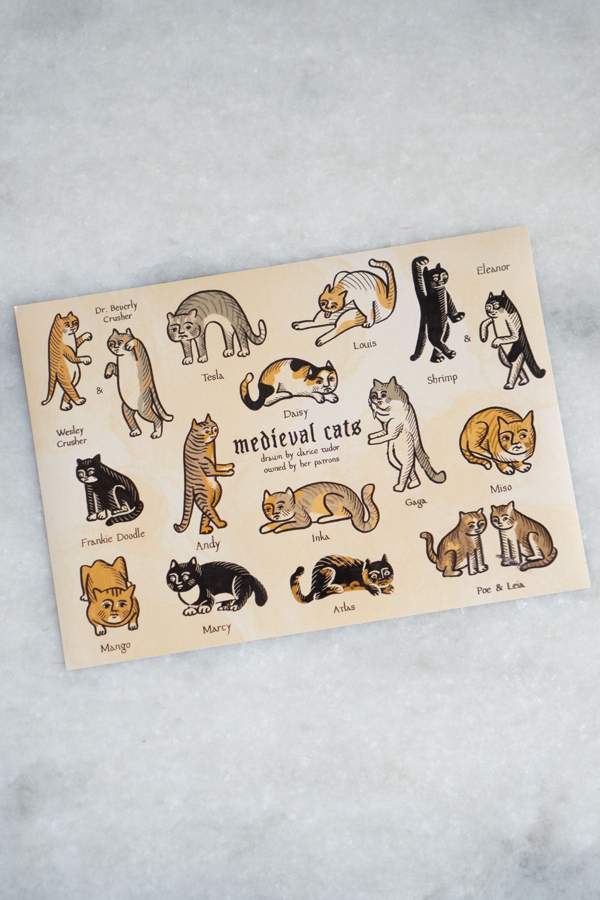 Feuille D'Autocollants 'Medieval Cats'