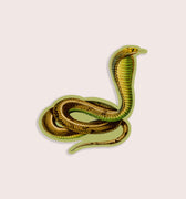 Nature animal sticker featuring a cobra snake