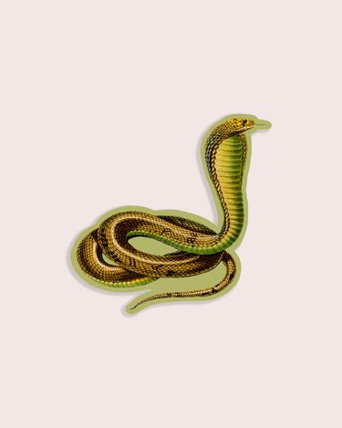 Nature animal sticker featuring a cobra snake