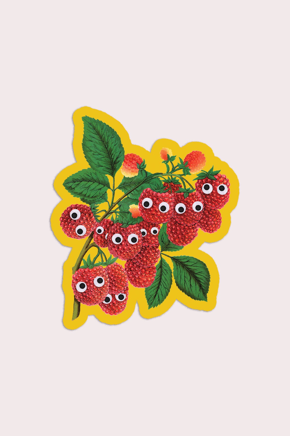 Autocollant "Googly Raspberries"