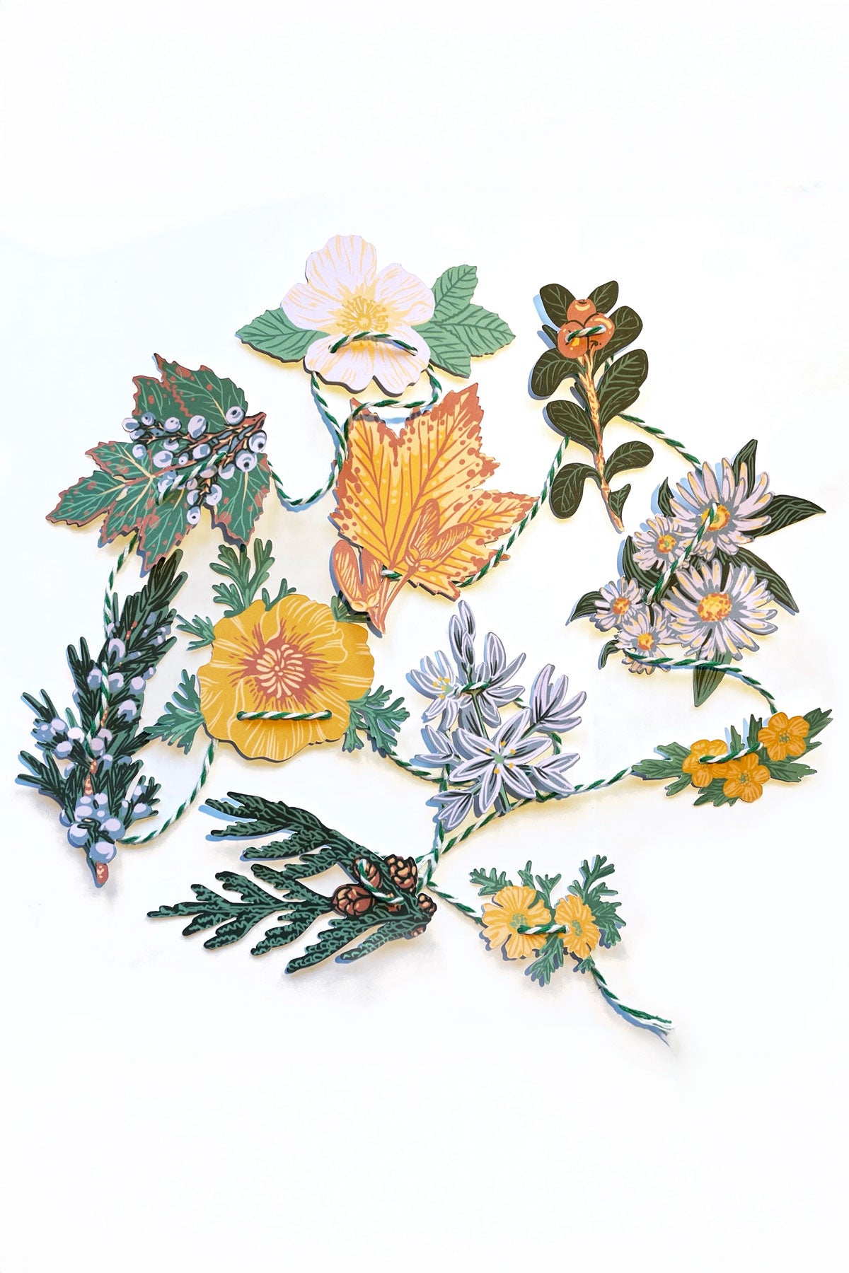 Guirlande en Papier 'PNW Native Plants'