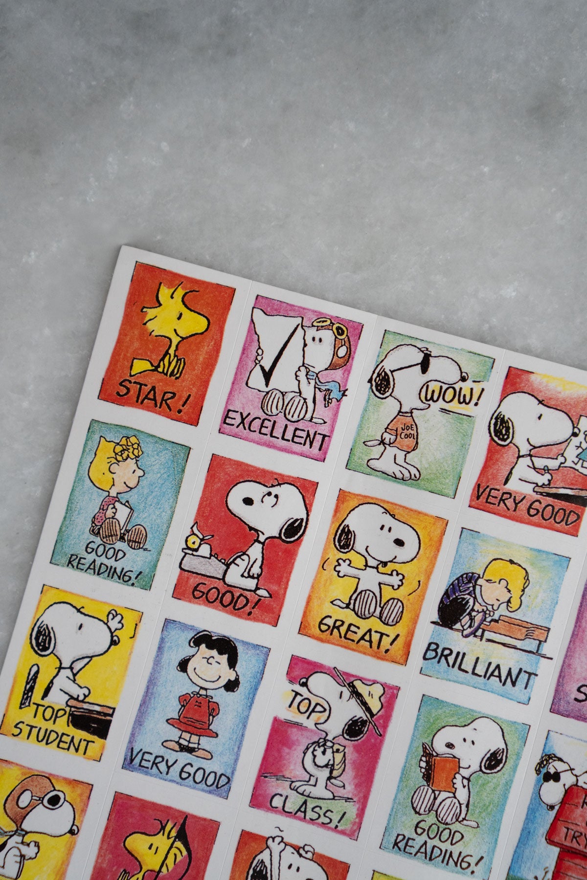 Vintage Peanuts® School Sticker Sheet