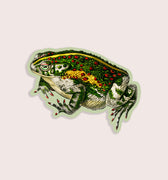 Vintage toad illustration sticker