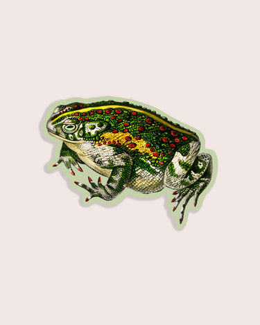 Vintage toad illustration sticker