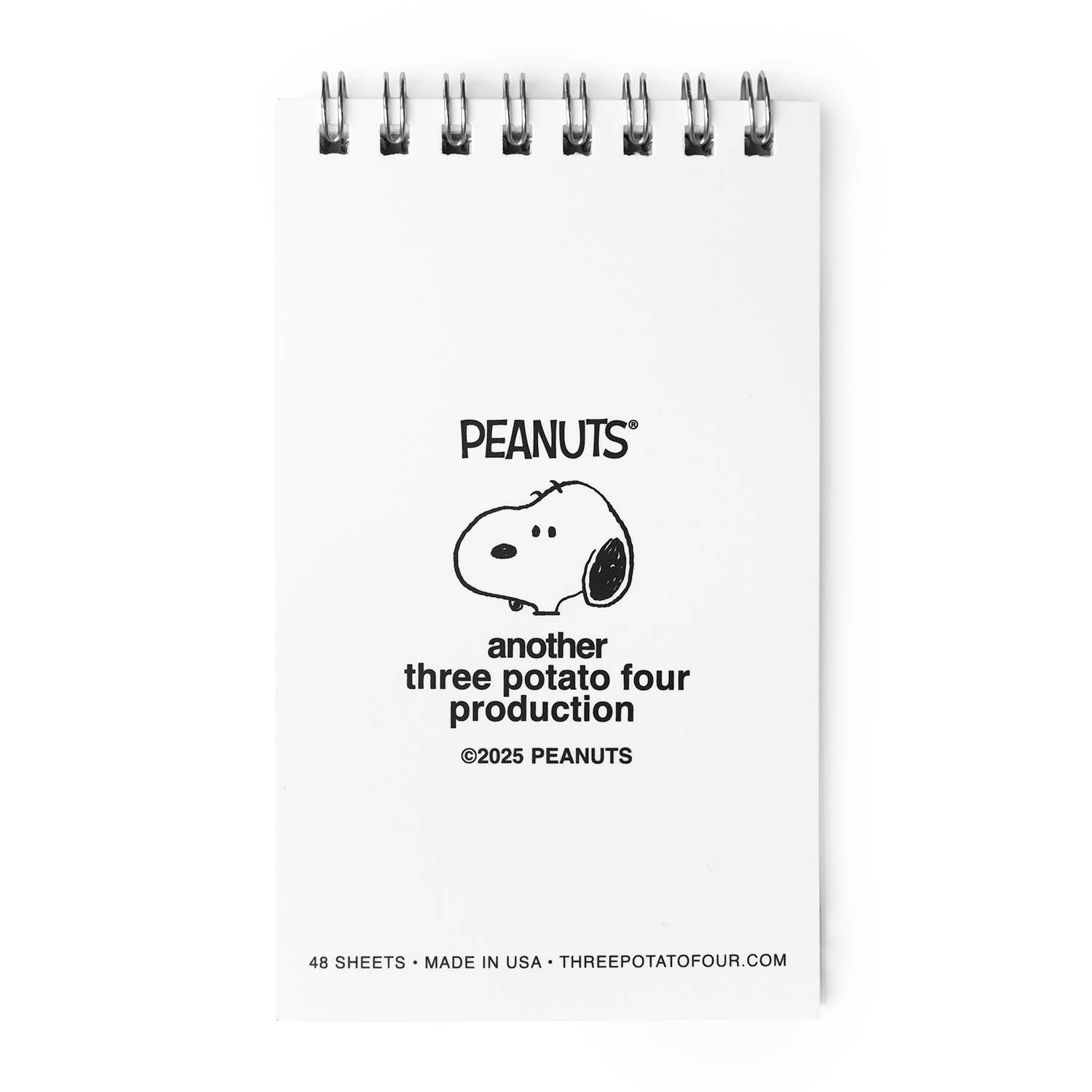 Great Pumpkin Mini Notebook