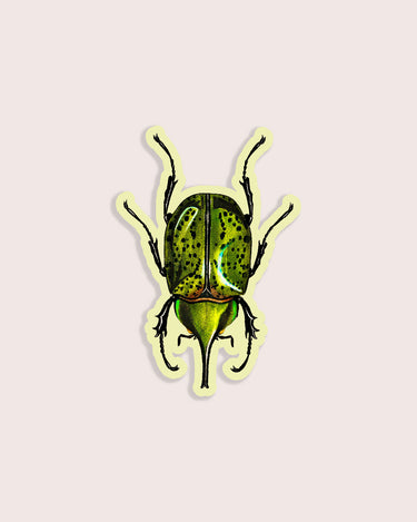 Nature animal sticker featuring green beetle insect