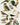 Set of vintage illustrated bird stickers