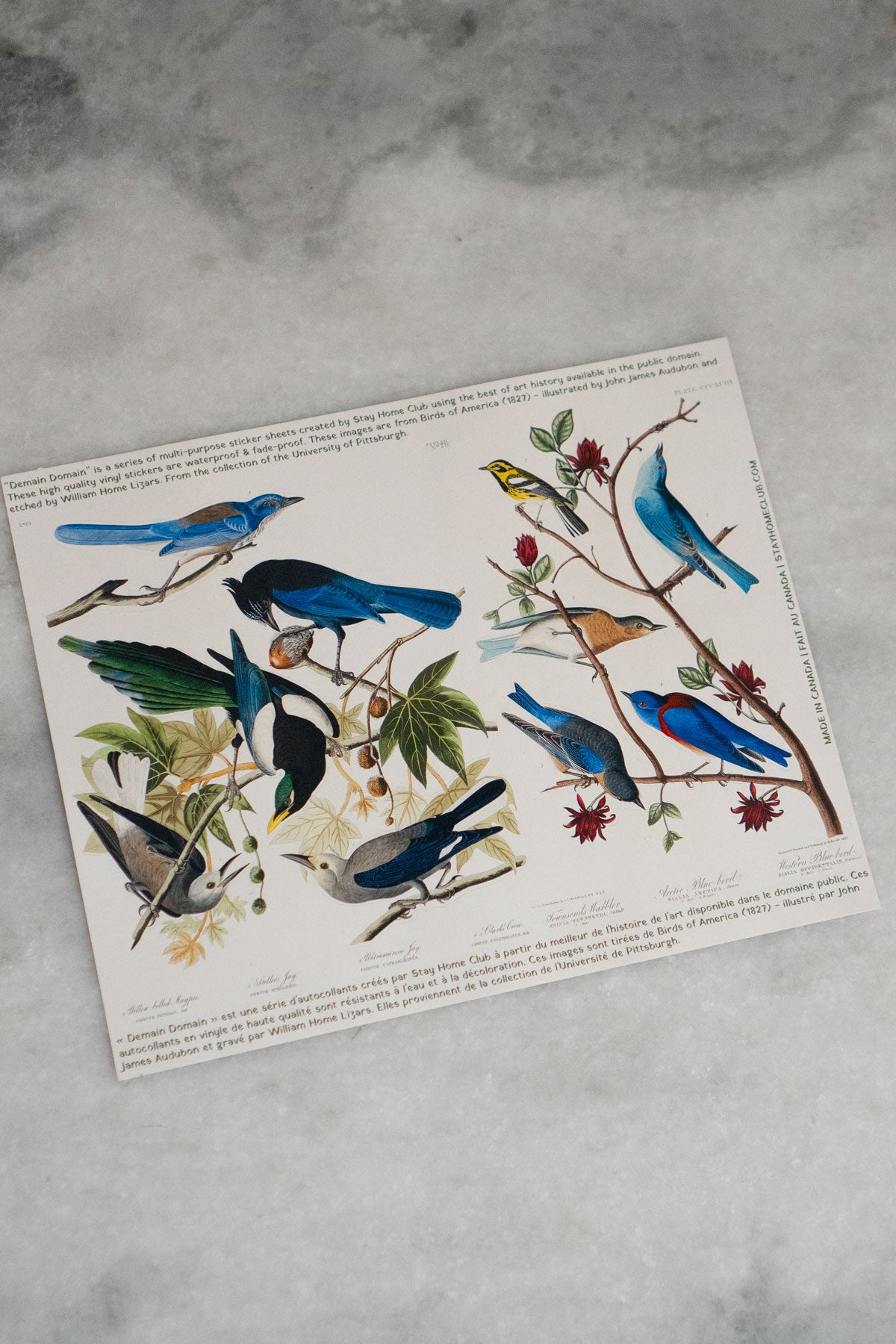 Grande Feuille D'Autocollants 'Stained Glass Ornament''