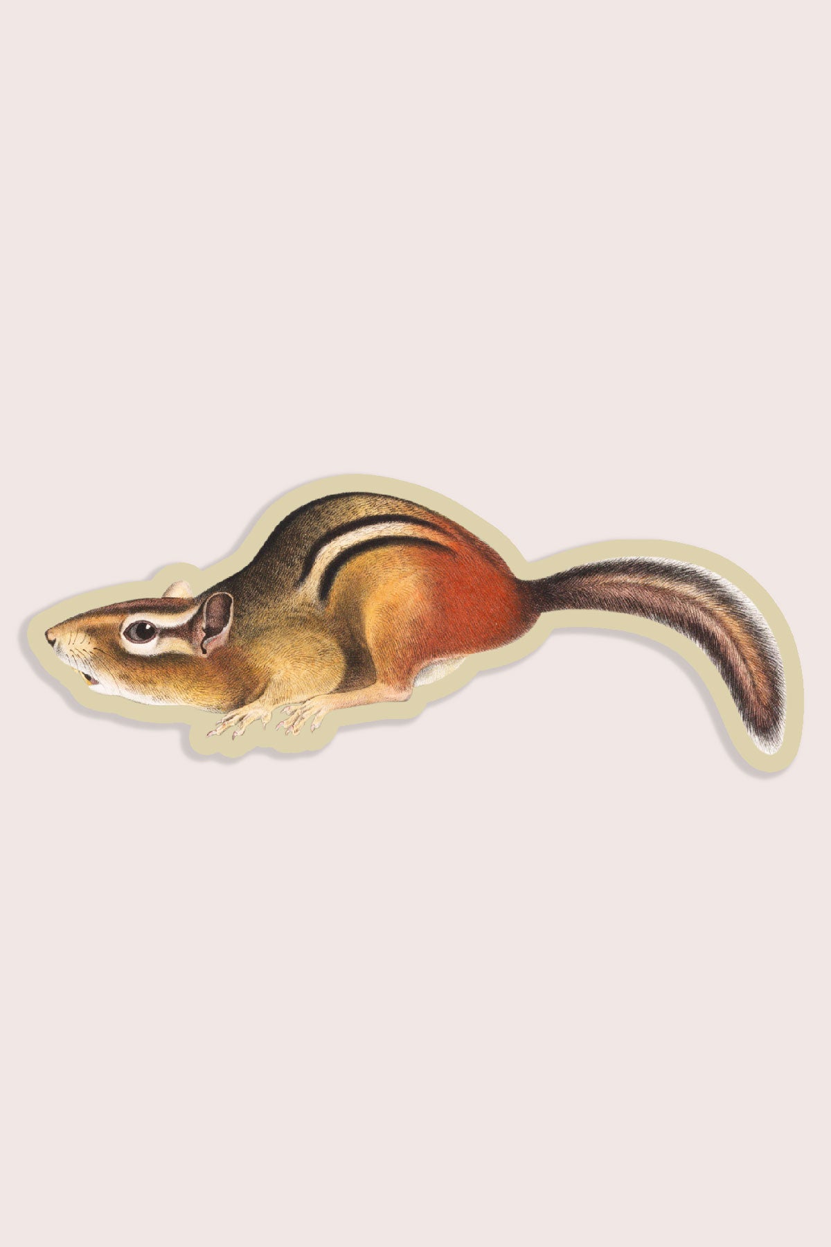 Petit Autocollant 'Suspicious Chipmunk'