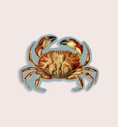Nature animal sticker of a crab