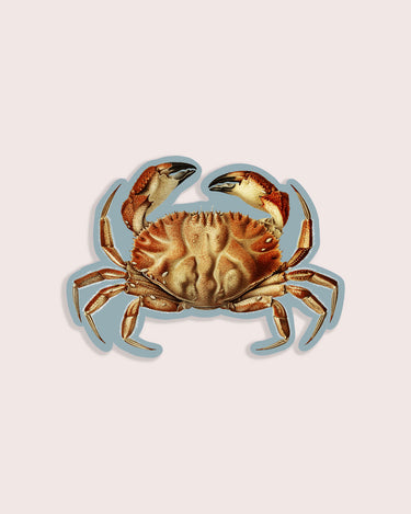 Nature animal sticker of a crab