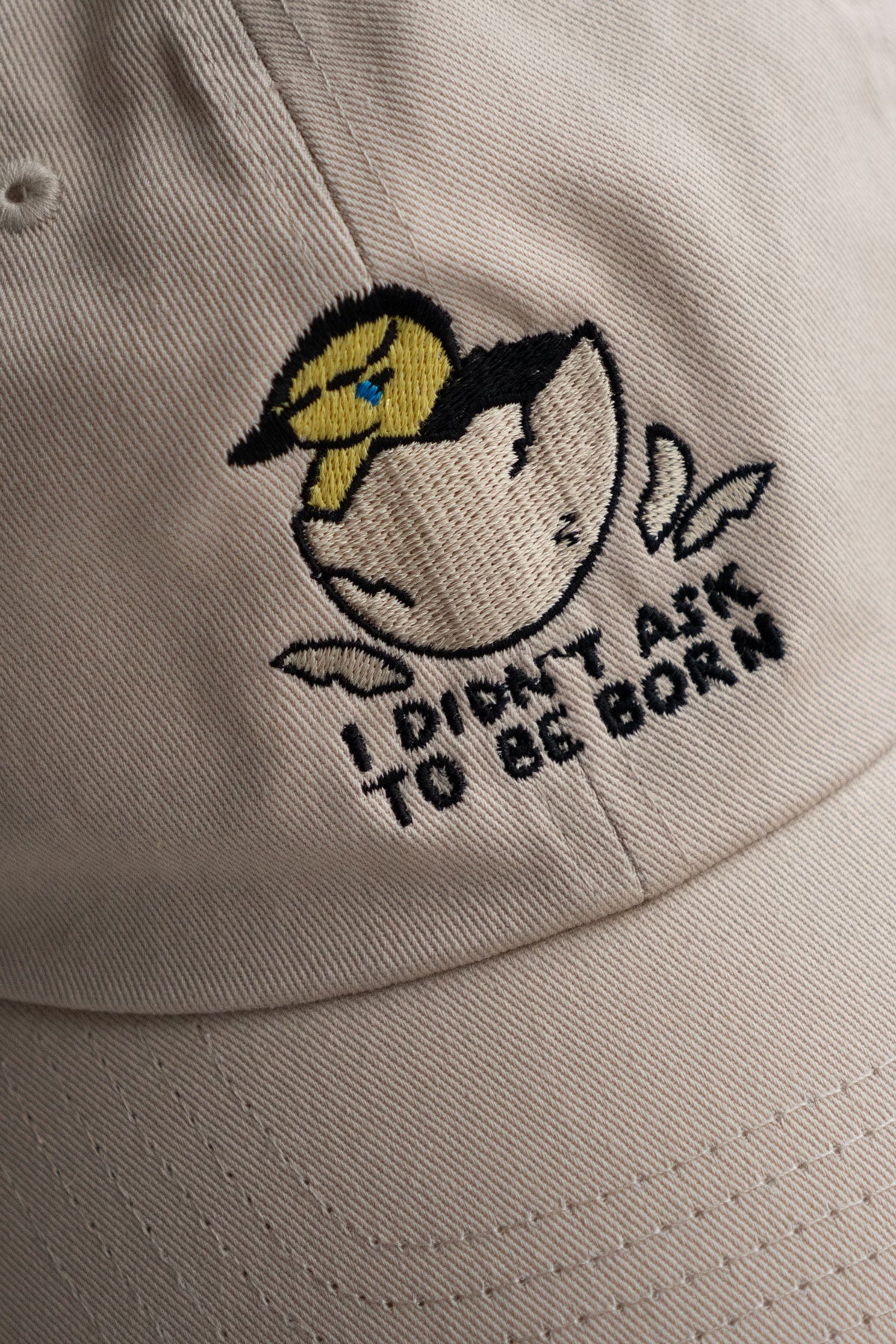 I Didn't Ask to be Born Dad Hat