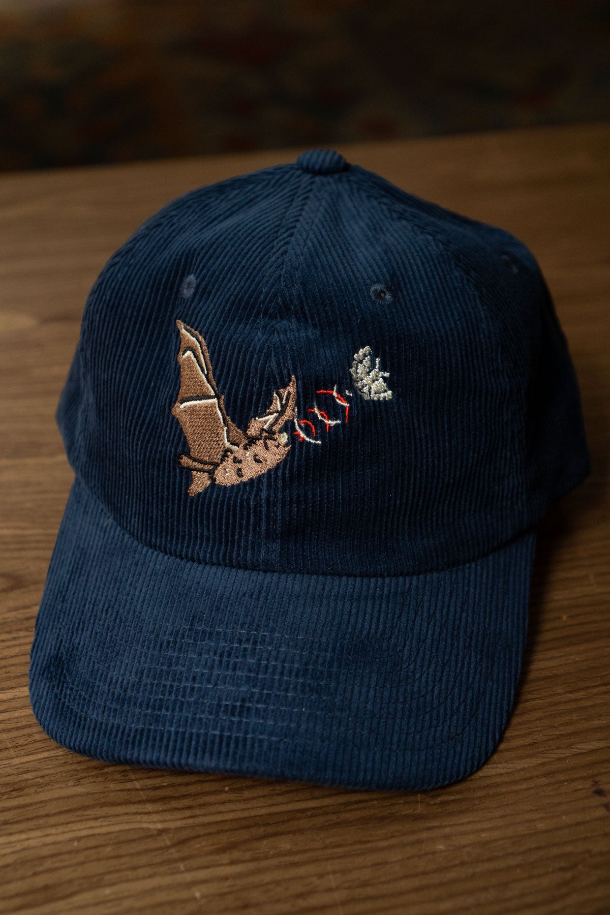 Casquette en Velours Côtelé 'Echolocation'
