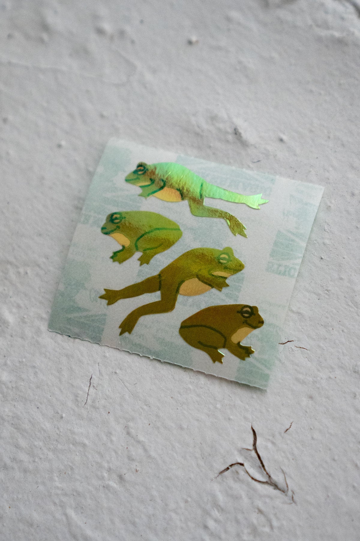 FREE GIFT | Free Frogs