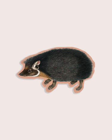Nature animal sticker featuring a headgehog