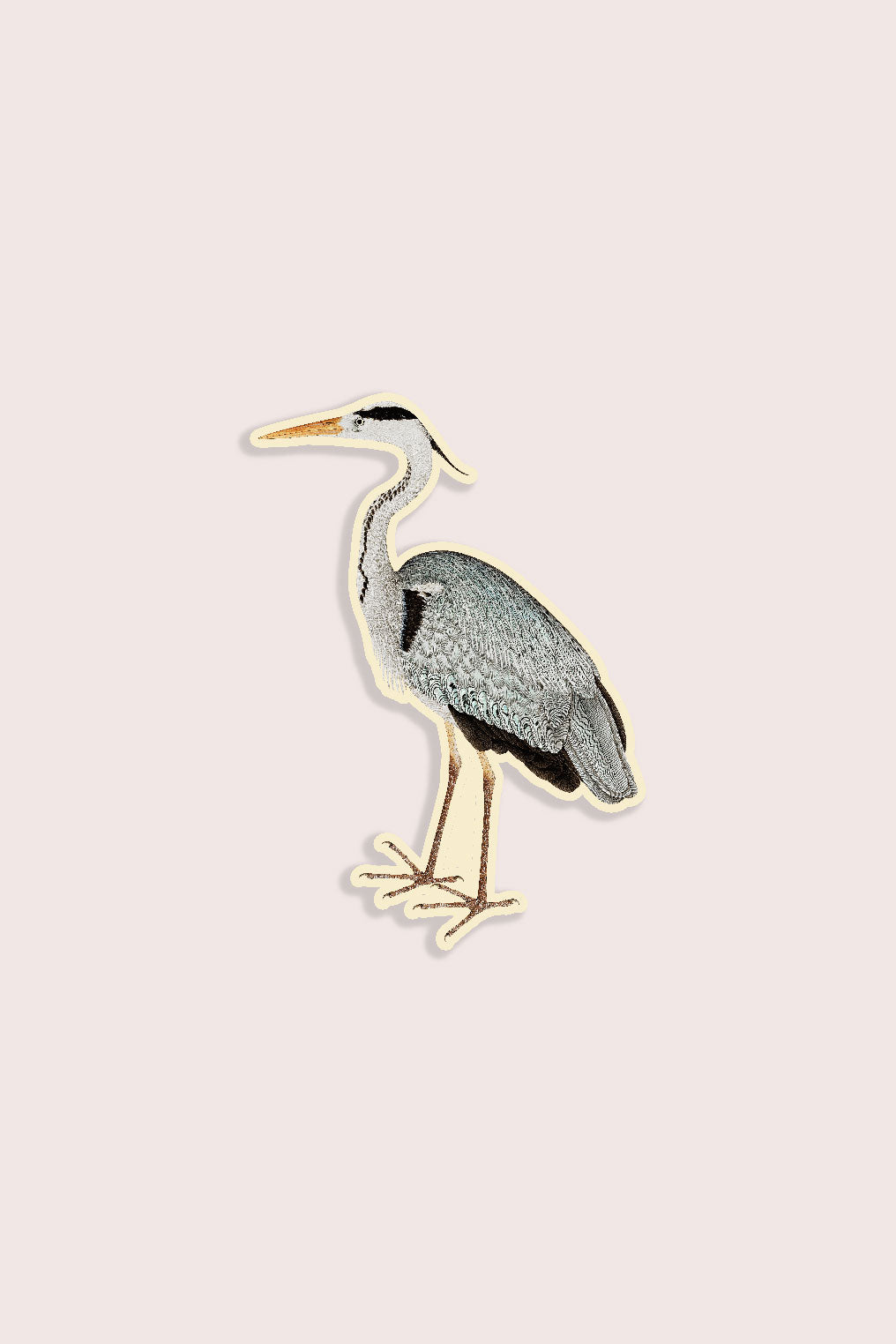 Petit Autocollant 'Hesitant Heron'