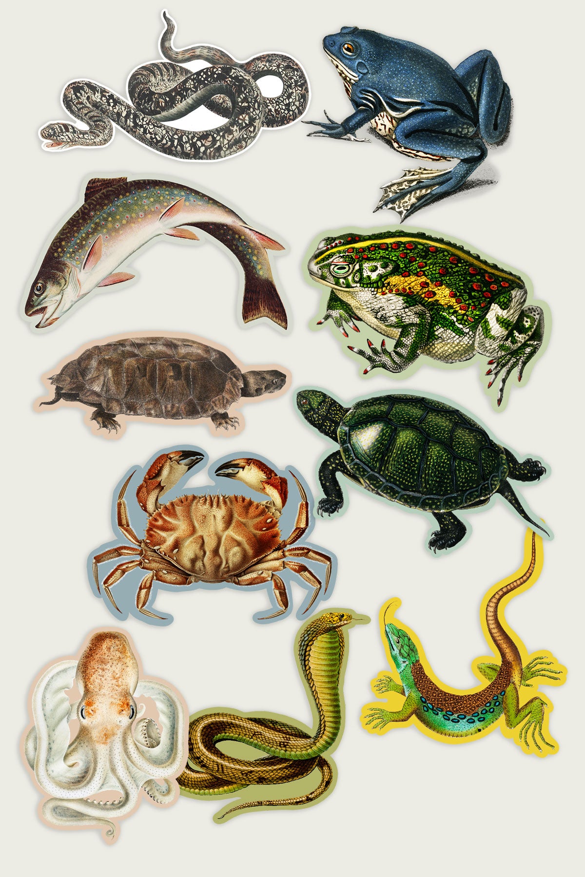 Sticker Bundle: Land & Water Pals