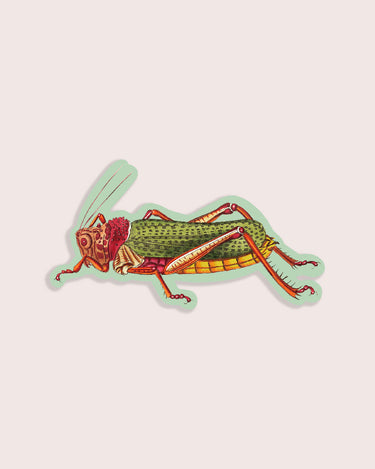 Nature animal sticker featuring a locust insect