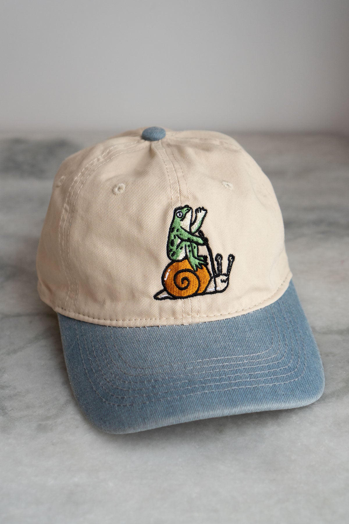 Lose my Shit Front & Back Dad Hat