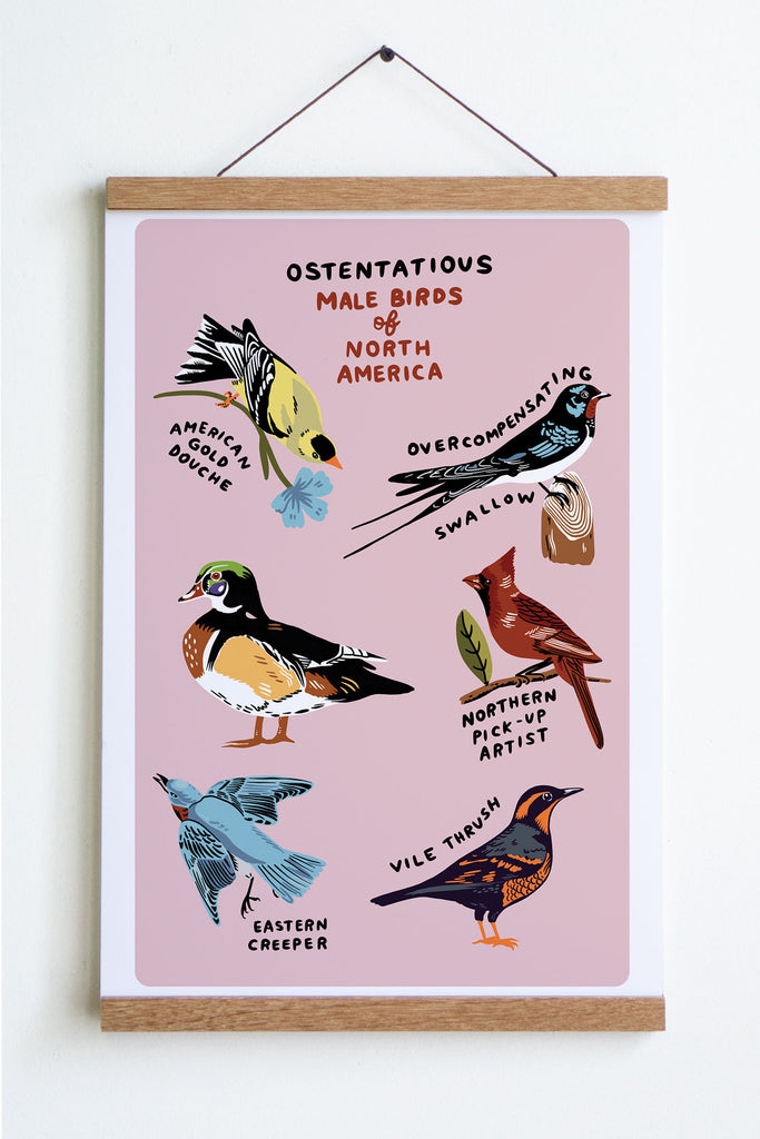 Affiche 'Male Birds'