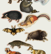Collection of vintage illustration animal stickers