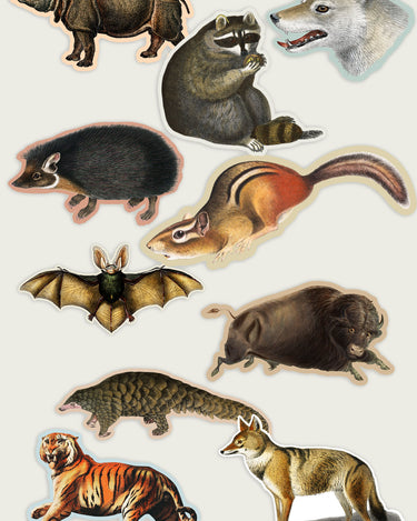 Collection of vintage illustration animal stickers