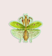 Vintage illustration mantis bug sticker