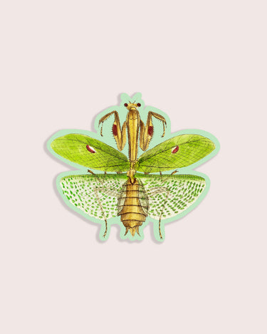 Vintage illustration mantis bug sticker