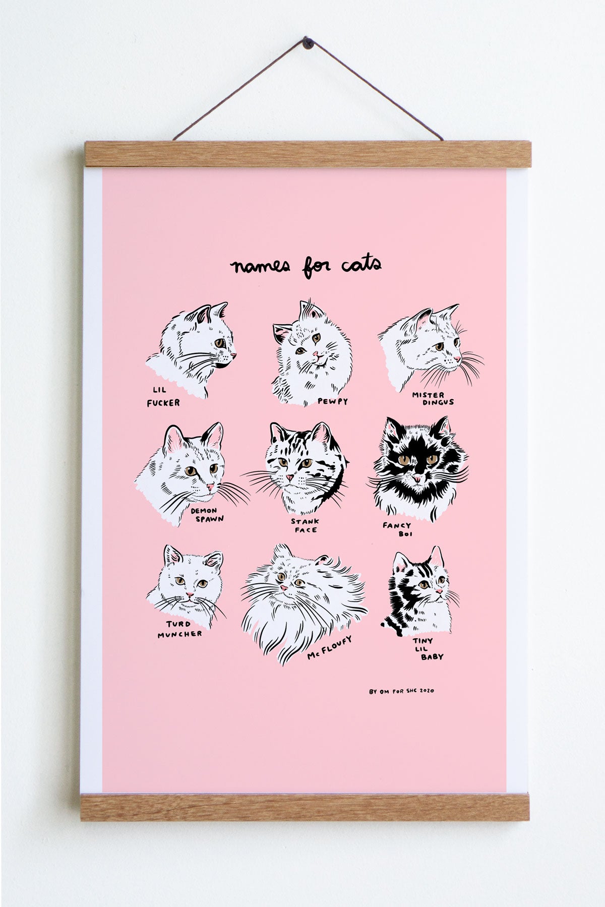 Affiche 'Names for Cats'