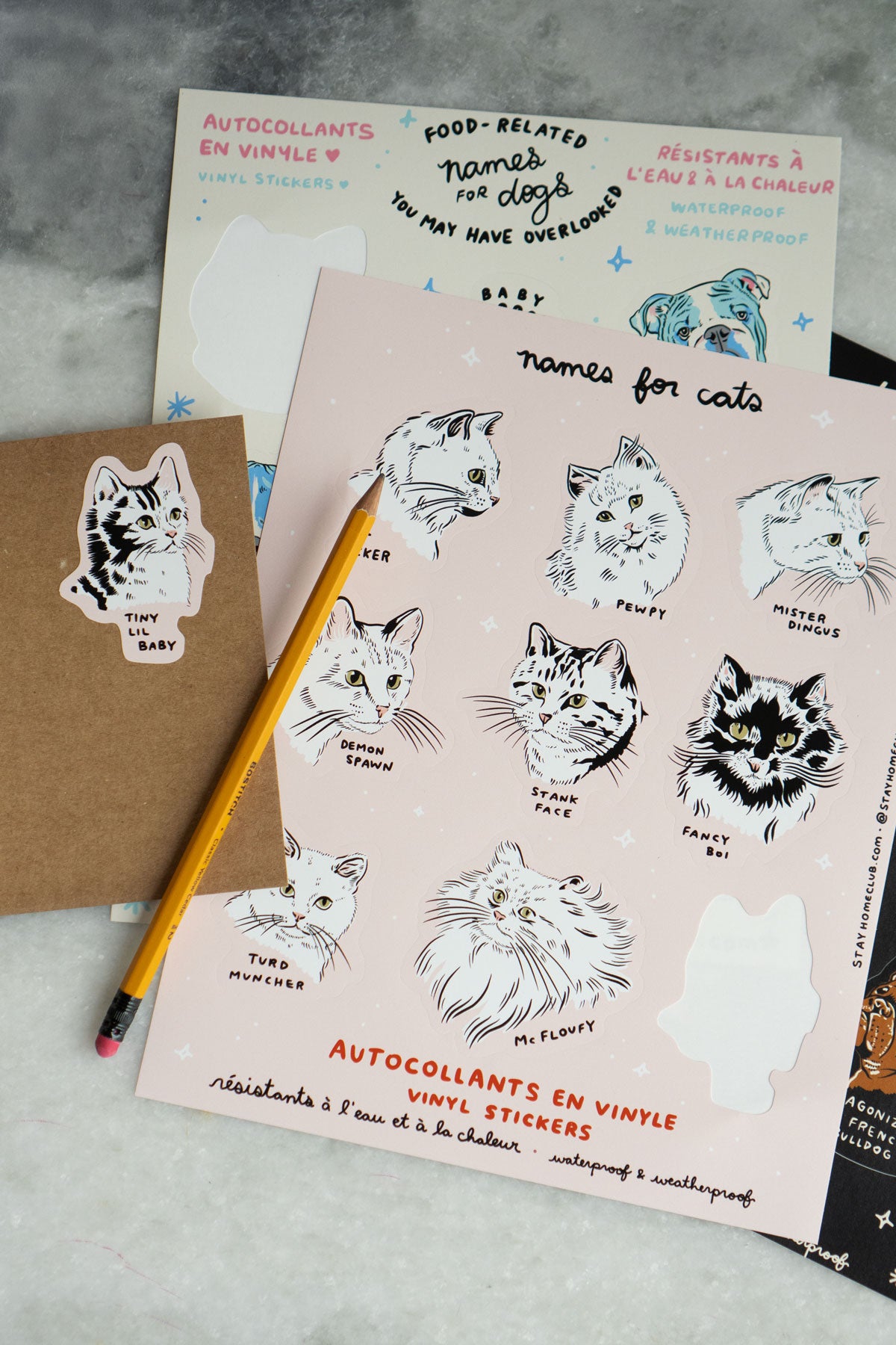 Grande Feuille D'Autocollants 'Names for Cats'