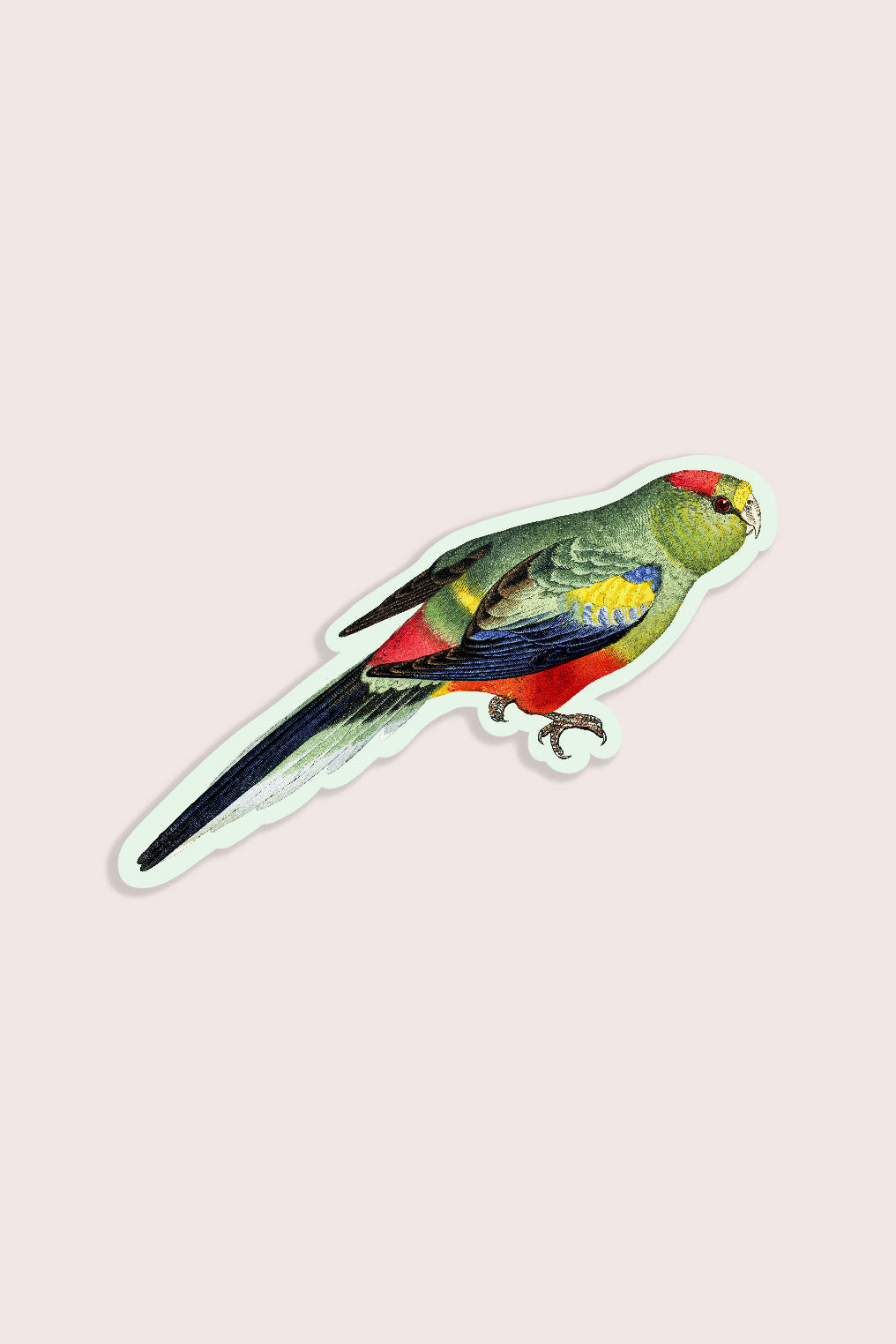 Petit Autocollant 'Petulant Parakeet'