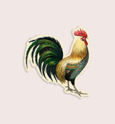 Vintage rooster illustration sticker