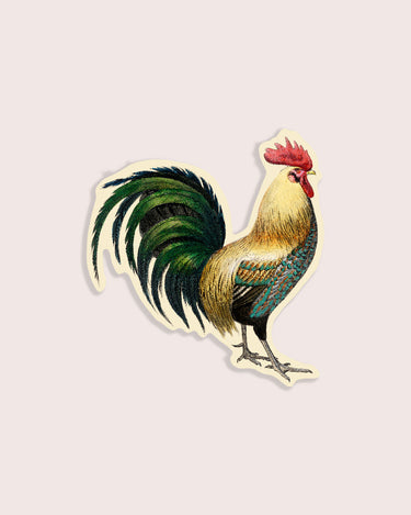 Vintage rooster illustration sticker