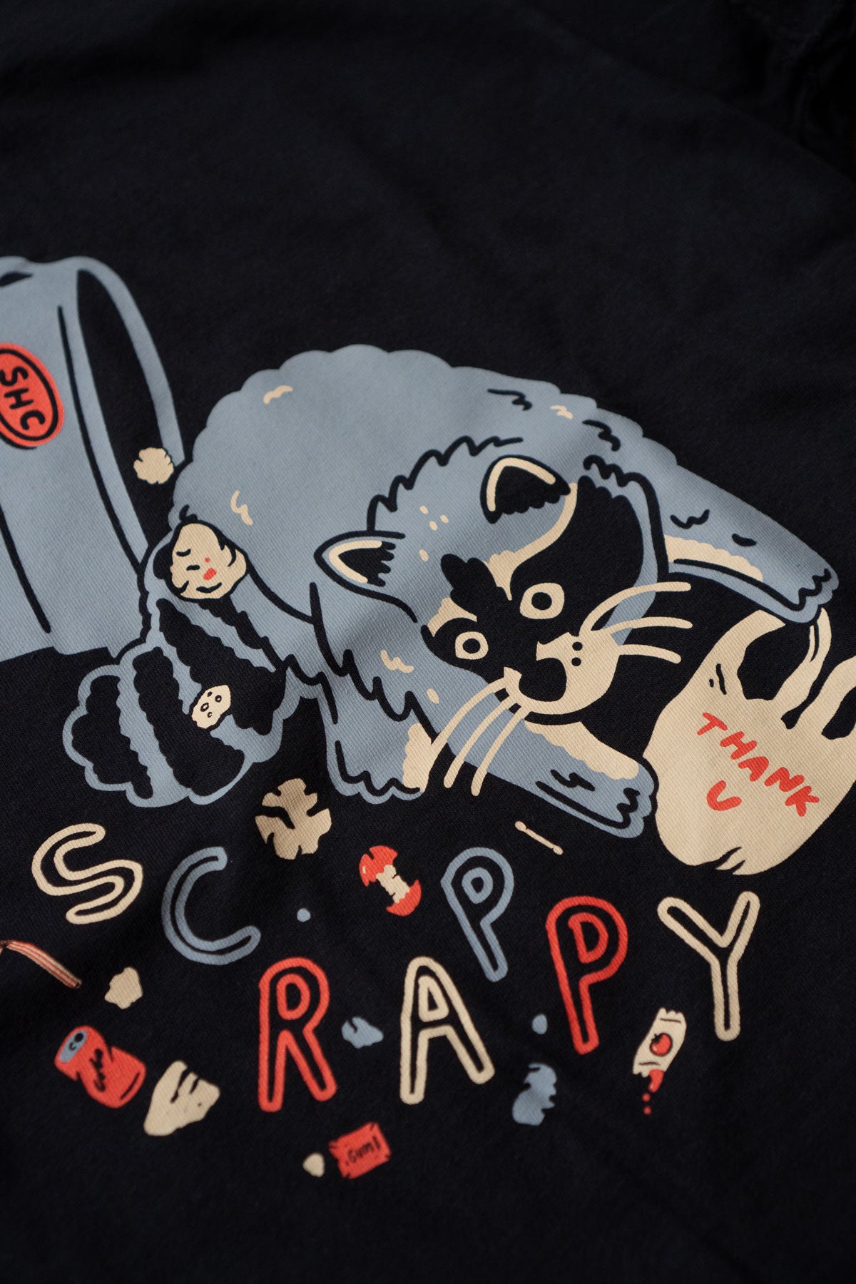 Scrappy Raccoon NL Boxy Tee