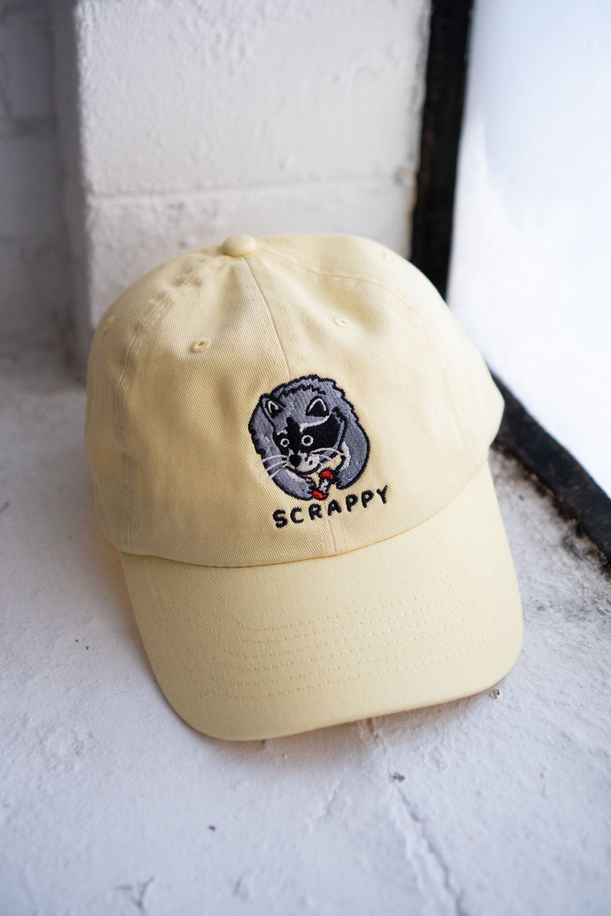 Scrappy Raccoon Dad Hat