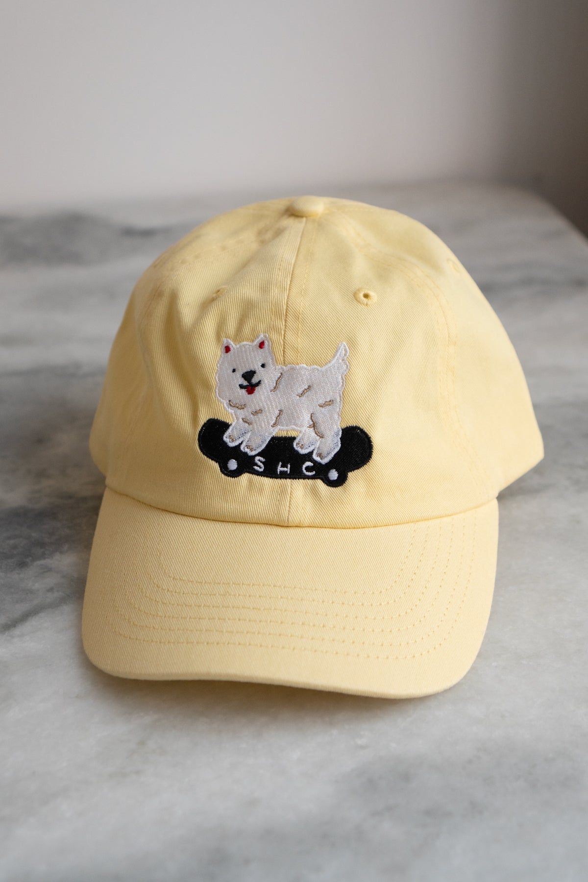 SK8 Dawg Dad Hat