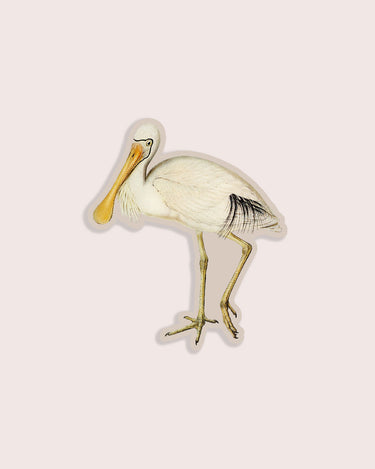 Nature animal sticker featuring spoonbill bird