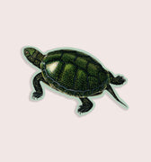Vintage illustration sticker of a green turtle