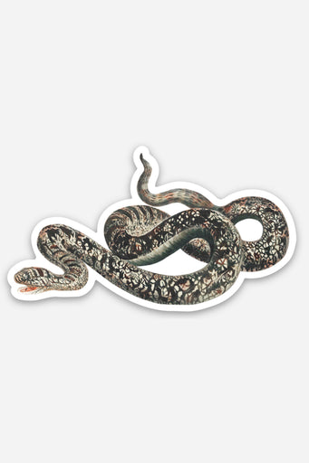 Appalled Snake - Gap Filler Sticker