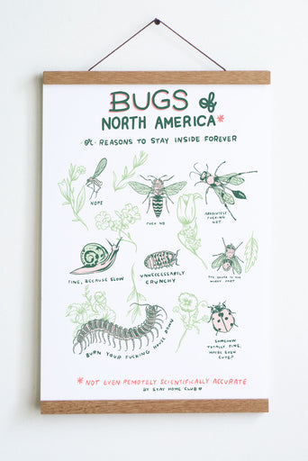 Bugs of North America Print